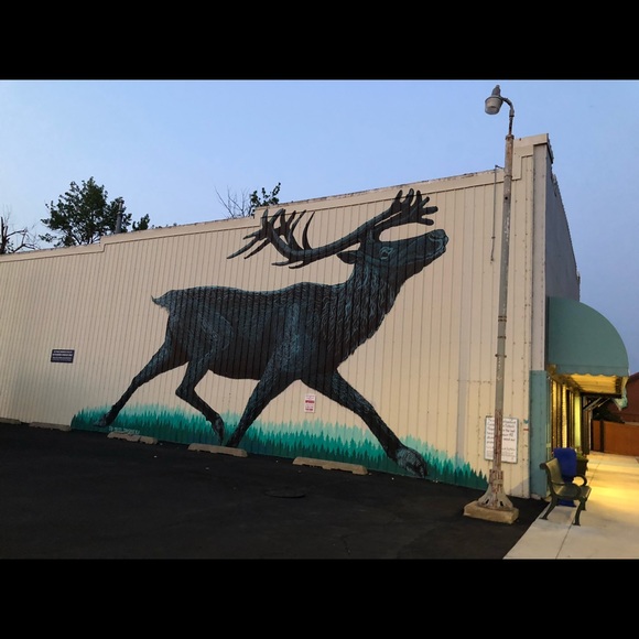 Meet your Posher, Lisa - Picture 1 of 1